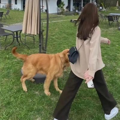 碧丽莎的情人第二集